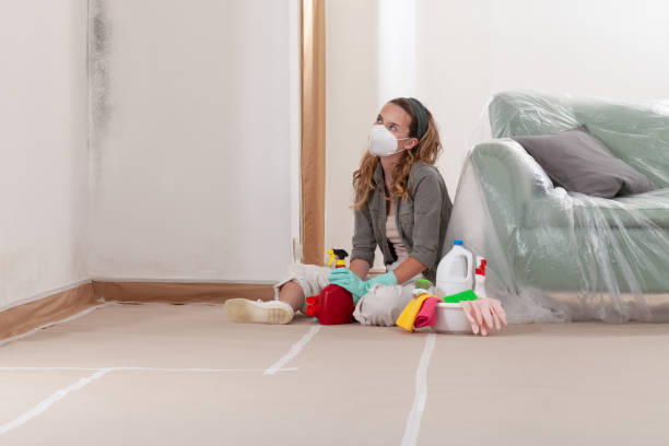 Reliable Mold Removal contractor in Voorhees, NJ by WQB Mold Removal